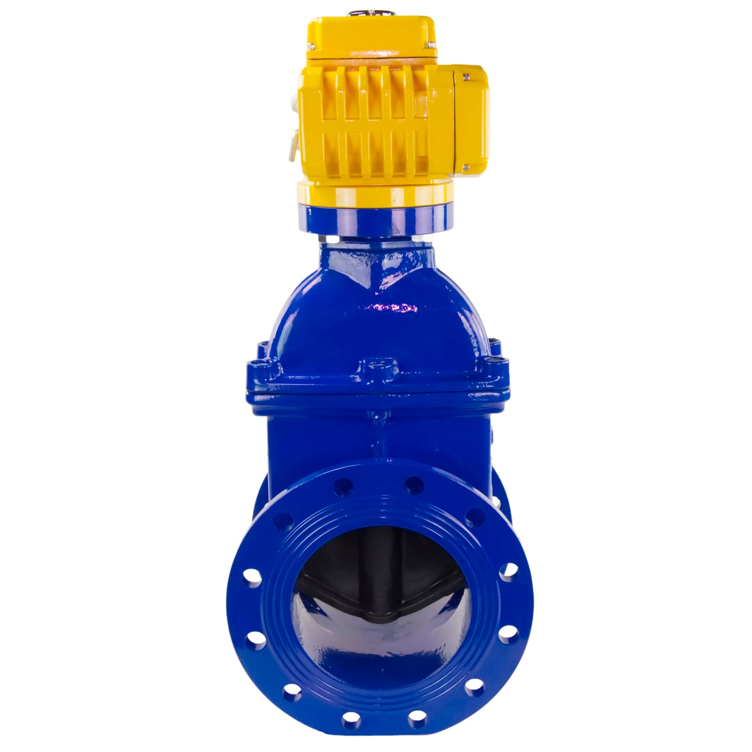 Wedge gate valve Elephant GVWN1414E-2W-F flange connection, body material - cast iron GGG50, wedge material - rubber, seal - EPDM, color - blue, with a non-rising spindle, electric actuator Elephant MT-200-220, 220V