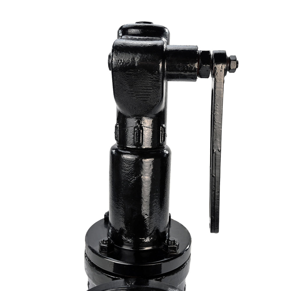 Spring safety valve Elephant SAFE 7011 10-13, body material - stainless steel AISI A10, closure element material - stainless steel AISI 420, seal - METAL