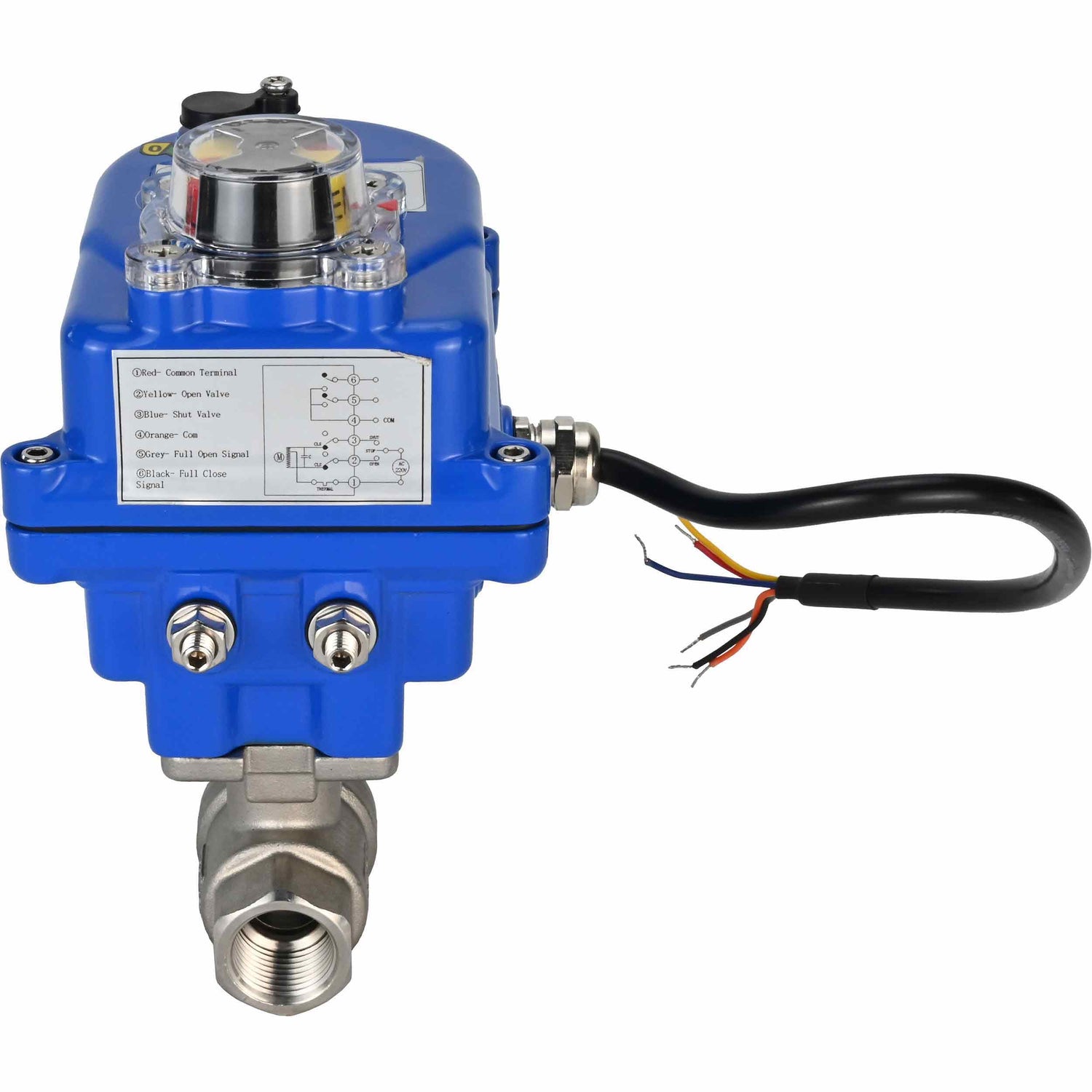 Stainless steel ball valve Elephant BVMP,316,230-ISO 63 bar SS316 threaded, quarter-turn electric actuator Elephant 003 blue 220 V