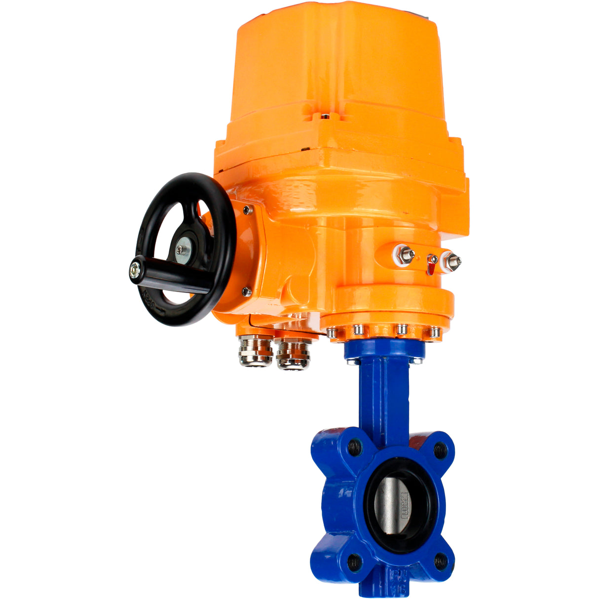 Water Butterfly Valve Elephant WBV1631E-2W-Fb-H, body material - cast iron QT450, disk material - Stainless steel AISI 304, seal - EPDM, electric actuator QT-EX-EM-O2-24VDC-U1 24V