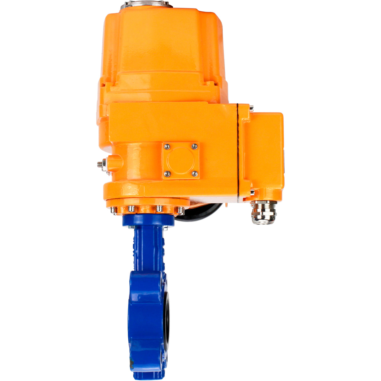 Water Butterfly Valve Elephant WBV1631E-2W-Fb-H, body material - cast iron QT450, disk material - Stainless steel AISI 304, seal - EPDM, electric actuator QT-EX-EM-O2-24VDC-U1 24V