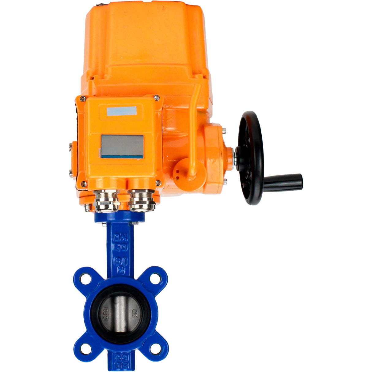 Water Butterfly Valve Elephant WBV1631E-2W-Fb-H, body material - cast iron QT450, disk material - Stainless steel AISI 304, seal - EPDM, electric actuator QT-EX-EM-O2-24VDC-U1 24V