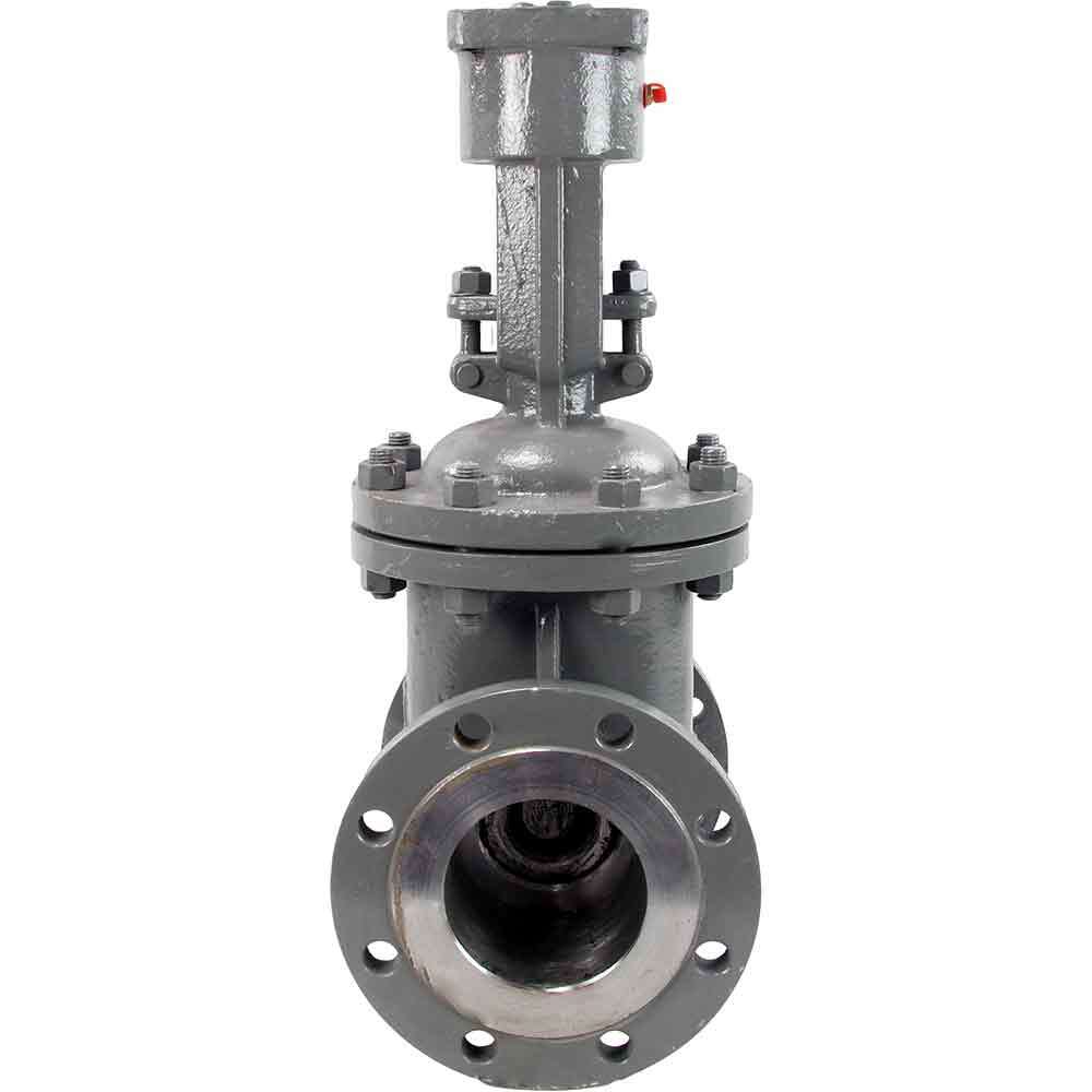Wedge gate valve Elephant GVWR2134M-2W-F-OST, body material - stainless steel AISI A10, wedge material - stainless steel AISI A216, seal - METAL, stem only