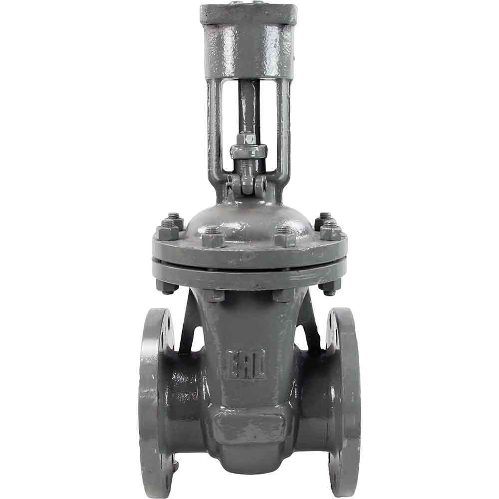 Wedge gate valve Elephant, body material - stainless steel AISI A10, wedge material - stainless steel AISI A216, seal - METAL, stem only