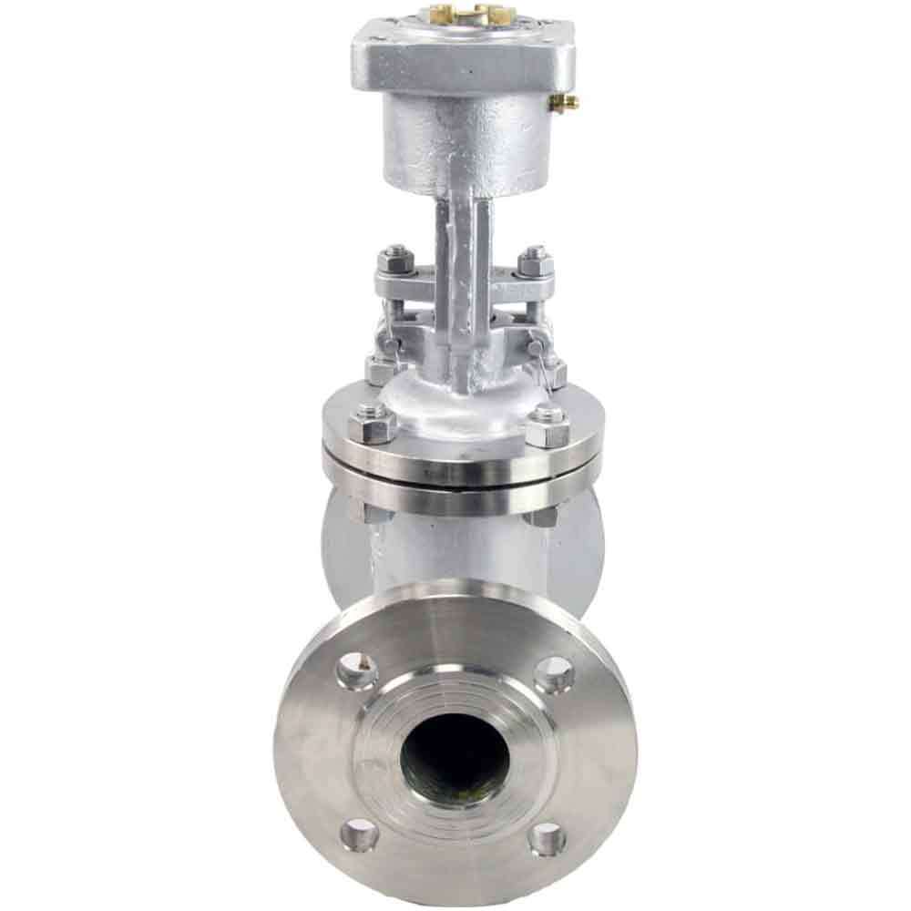 Wedge gate valve Elephant, body material - stainless steel AISI J92630, wedge material - stainless steel AISI A216, seal - METAL, stem only