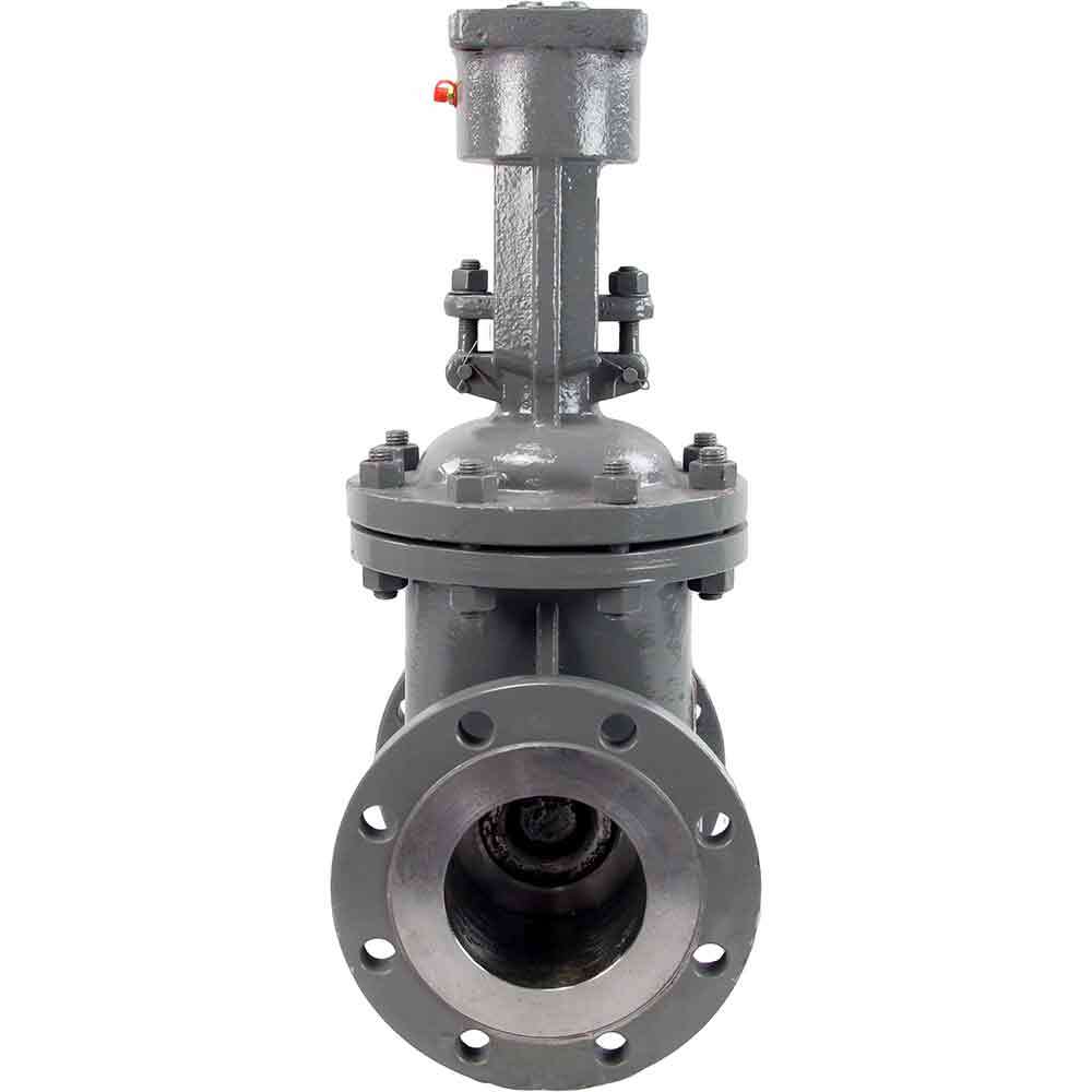 Wedge gate valve Elephant GVWR2134M-2W-F-OST, body material - stainless steel AISI A10, wedge material - stainless steel AISI A216, seal - METAL, stem only