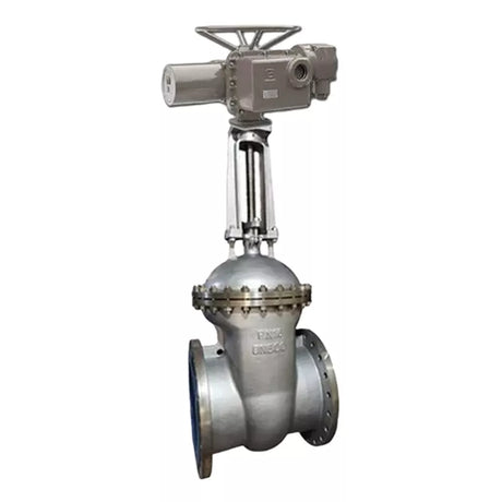 Wedge gate valves 30nzh941nzh Elephant GVWR2434M-2W-F flanged, body - stainless steel 12X18H9TL, seal - metal, with OST flanges round stem with OST flanges round stem control - electric drive Elephant MT-N-EM-O2-380 -U1