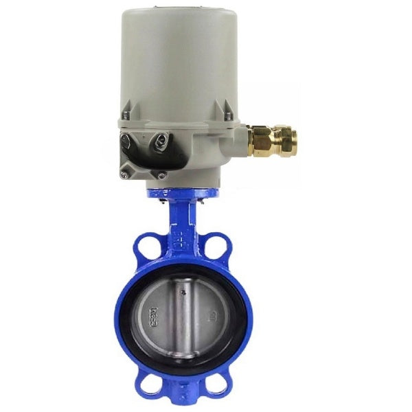 Water Butterfly Valve Elephant WBV1616E-2W-Fb-H, body material - cast iron QT450, disk material - cast iron QT450, seal - EPDM, electric actuator GZ-OFV(K) 380V