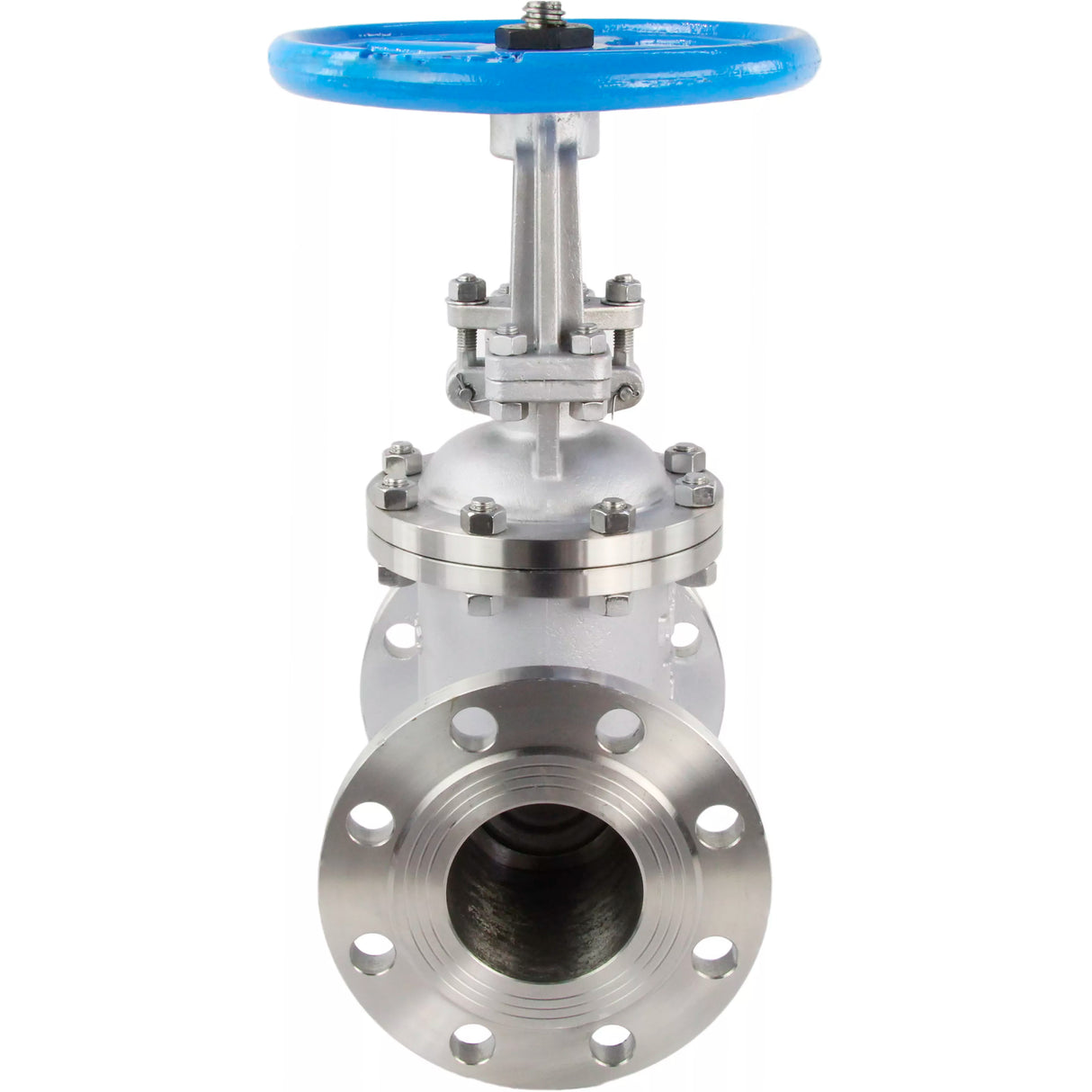 Wedge gate valve Elephant GAIR GVWR3131M-2W-F-S, body material - stainless steel AISI 304, wedge material - stainless steel AISI 304, seal - metal, handwheel