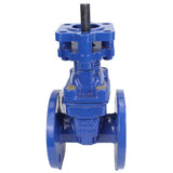 Wedge gate valve Elephant GVWN1414E-2W-F with OST flange, body material - cast iron GGG50, wedge material - cast iron + EPDM, seal - EPDM, stem only, color - blue