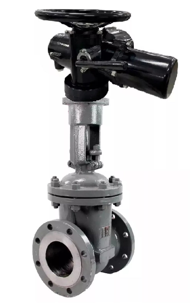 Wedge gate valves 30s941nzh Elephant GVWR3434M-2W-F-OST flanged GAIR, body - carbon steel WCB, seal - metal, with OST flange and round stem, control - electric actuator Elephant MT-N-EM-O2-380- U1 five-cam