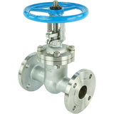 Wedge gate valves Elephant GVWR3131M-2W-F-S flanged, body - stainless steel 304, seal - metal, with GAIR steering wheel