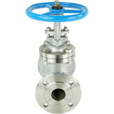 Wedge gate valves Elephant GVWR3131M-2W-F-S flanged, body - stainless steel 304, seal - metal, with GAIR steering wheel