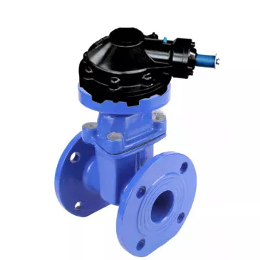 Wedge valves Elephant GVWN1414E-2W-F flanged wedge valves, wedge - rubber coated, spindle - non-rising, body - cast iron, seal - EPDM, with ISO flange with gearbox RMN1-360Z-T2,35-ISO