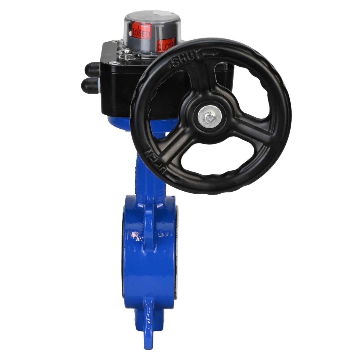 Water Butterfly Valve Elephant WCB-316L-PTFE-HGB, body material - carbon steel WCB, disk material - stainless steel AISI 316L, seal - PTFE, gear operated