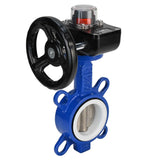 Water Butterfly Valve Elephant WCB-316L-PTFE-HGB, body material - carbon steel WCB, disk material - stainless steel AISI 316L, seal - PTFE, gear operated