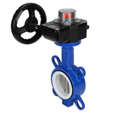 Water Butterfly Valve Elephant WCB-316L-PTFE-HGB, body material - carbon steel WCB, disk material - stainless steel AISI 316L, seal - PTFE, gear operated