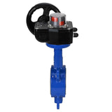 Water Butterfly Valve Elephant WCB-316L-PTFE-HGB, body material - carbon steel WCB, disk material - stainless steel AISI 316L, seal - PTFE, gear operated