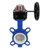 Water Butterfly Valve Elephant WCB-316L-PTFE-HGB, body material - carbon steel WCB, disk material - stainless steel AISI 316L, seal - PTFE, gear operated