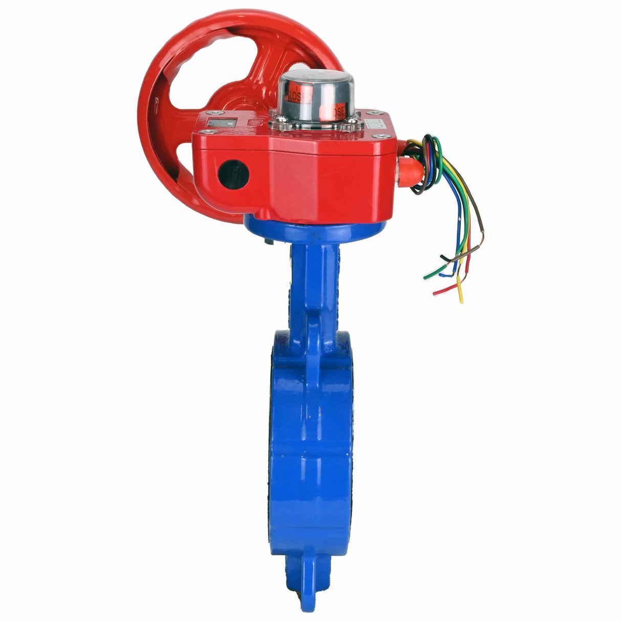 Water Butterfly Valve Elephant WCB-316L-PTFE-HGBF, body material - carbon steel WCB, disk material - stainless steel AISI 316L, seal - PTFE, gear operated