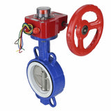 Water Butterfly Valve Elephant WCB-316L-PTFE-HGBF, body material - carbon steel WCB, disk material - stainless steel AISI 316L, seal - PTFE, gear operated