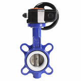 Water Butterfly Valve Elephant WCB-316L-PTFE body material - Carbon steel WCB, disk material - Stainless steel AISI 316L, seal - PTFE with gear Pro-Gear X-W