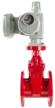 Wedge gate valve Elephant 30X939H PSI145 flange connection, body material - cast iron GGG50, wedge material - rubber, seal - EPDM, color - red, electric actuator GZ-380V