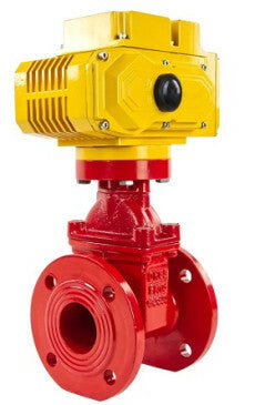 Wedge gate valve Elephant 30X939H PSI145 flange connection, body material - cast iron GGG50, wedge material - rubber, seal - EPDM, color - red, electric actuator Elephant MT-300, 220V