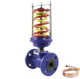 Pressure reducing regulator Elephant PRA PSI 232 class 125 RF cast iron flange connection