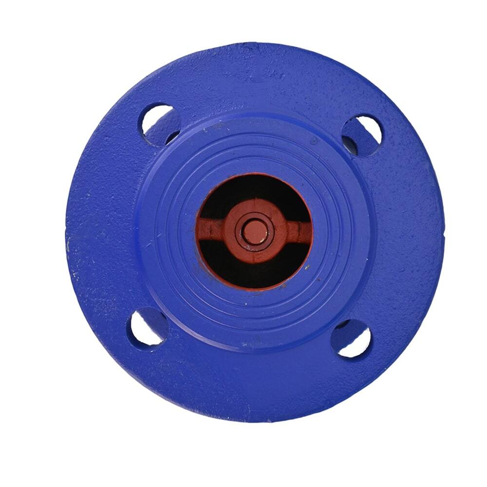 Spring check valve Elephant 402A 16 bar body material - cast iron GGG50, flanged