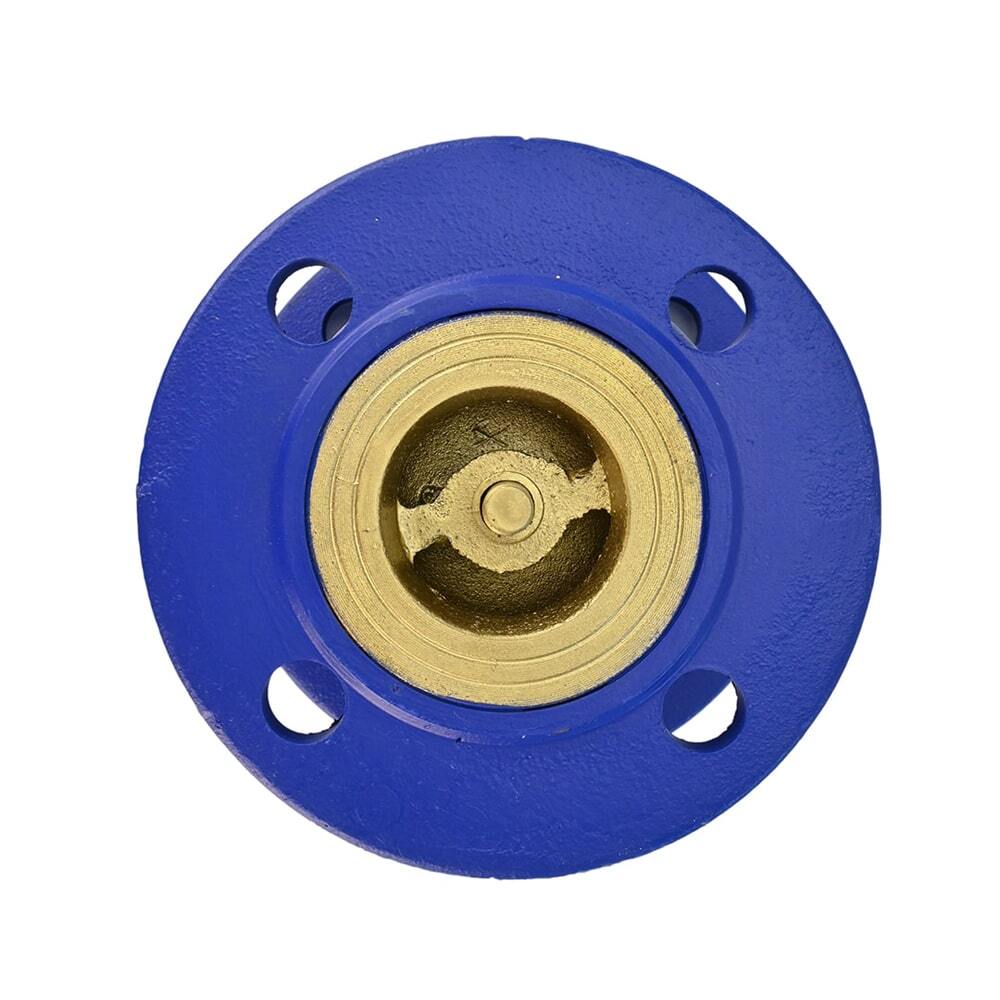 Spring check valve Elephant 402A 16 bar body material - cast iron GGG50, flanged