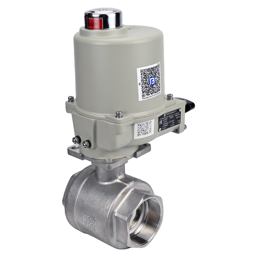 Stainless steel ball valve Elephant BVMP.316.230-ISO PSI914 SS316 threaded, quarter-turn electric actuator GZ-OF 24 V