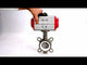 Water Butterfly Valve Elephant WBV3131P-2W-Fb-H, body material - Stainless steel AISI 304, disk material - Stainless steel AISI 304, seal - PTFE, pneumatic actuator PA-DA double action