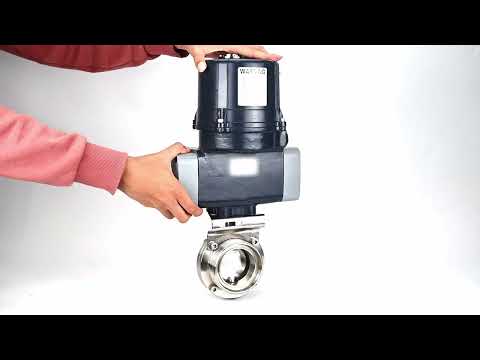 Butterfly valves Elephant WBV3131S-2W-T-H threaded, body - food grade stainless steel AISI 304, disc - stainless steel AISI 304, seal - Silicon, with electric quarter turn actuator Elephant QTSA-N-EM-O0-220VAC