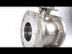 Stainless steel ball valve Elephant BV.CF.Fp.316.200 290 psi, full port, compact flanged connection Class 150, with ISO 5211 mounting pad and handle