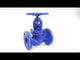 Gland Stop Valve Elephant 215A PSI 232 cast iron flange connection