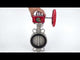 Water Butterfly Valve Elephant WBV3131N-2W-Fb-H, body material - Stainless steel AISI 304, disk material - Stainless steel AISI 304, seal - NBR, gearbox HGBF RQN