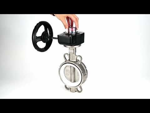 Water Butterfly Valve Elephant 316L-PTFE-HGB, body material - stainless steel AISI 316L, disk material - stainless steel AISI 316L, seal - PTFE, gear operated