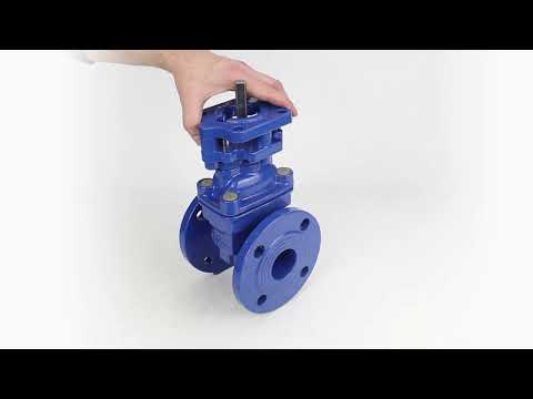 Wedge gate valve Elephant GVWN1414E-2W-F with OST flange, body material - cast iron GGG50, wedge material - cast iron + EPDM, seal - EPDM, stem only, color - blue