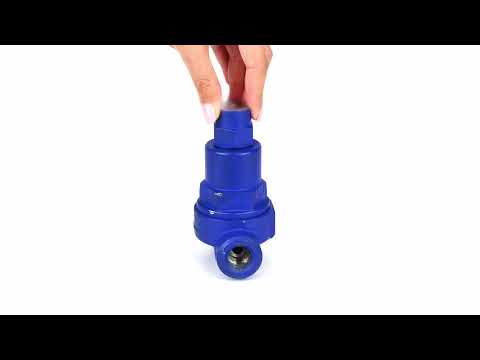 Bimetallic steam traps Elephant STB2136-T DN15-25 25 bar steel, threaded, body - low carbon steel A105, valve material - martensitic stainless steel, maximum pressure drop dP=16 bar