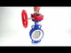 Water Butterfly Valve Elephant WCB-316L-PTFE-HGBF, body material - carbon steel WCB, disk material - stainless steel AISI 316L, seal - PTFE, gear operated