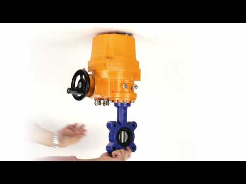 Water Butterfly Valve Elephant WBV1631E-2W-Fb-H, body material - cast iron QT450, disk material - Stainless steel AISI 304, seal - EPDM, electric actuator QT-EX-EM-O2-220VAC-U1 220V