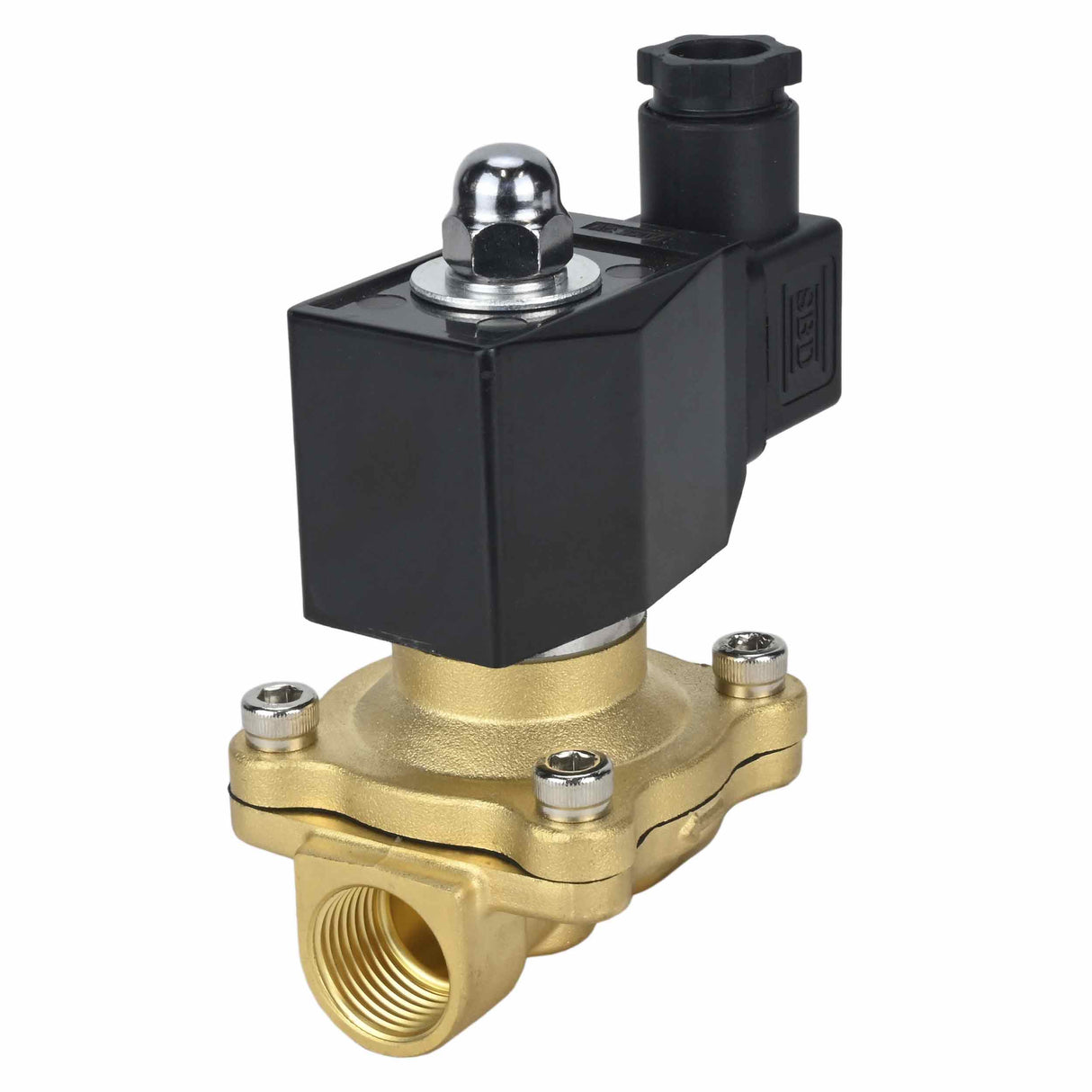 Two way normally closed direct acting electric solenoid valve Elephant VS2W-300V-NC VITON 220V, body material - brass, seal - Viton