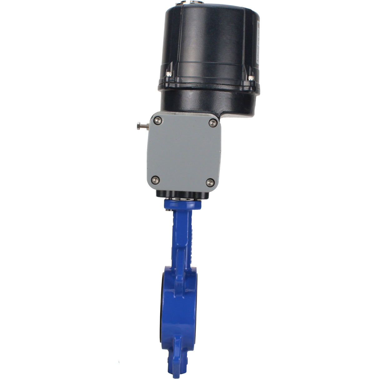 Butterfly valves Elephant WBV1432N-2W-Fb-H interflanged, body - cast iron GGG50, disc - stainless steel 316L, seal - NBR, with electric quarter turn actuator Elephant QTSA-N-EM-O0-220VAC