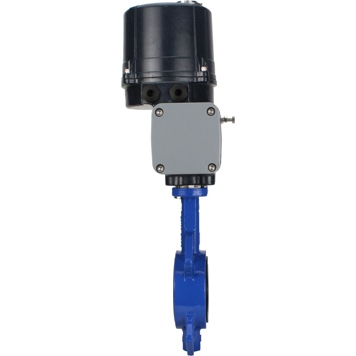 Butterfly valves Elephant WBV1432N-2W-Fb-H interflanged, body - cast iron GGG50, disc - stainless steel 316L, seal - NBR, with electric quarter turn actuator Elephant QTSA-N-EM-O0-220VAC