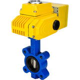 Water Butterfly Valve Elephant WBV1616N-2W-Fb-H, body material - cast iron QT450, disk material - cast iron QT450, seal - NBR, electric actuator QT-N-EM-A1-220VAC-U1 220V