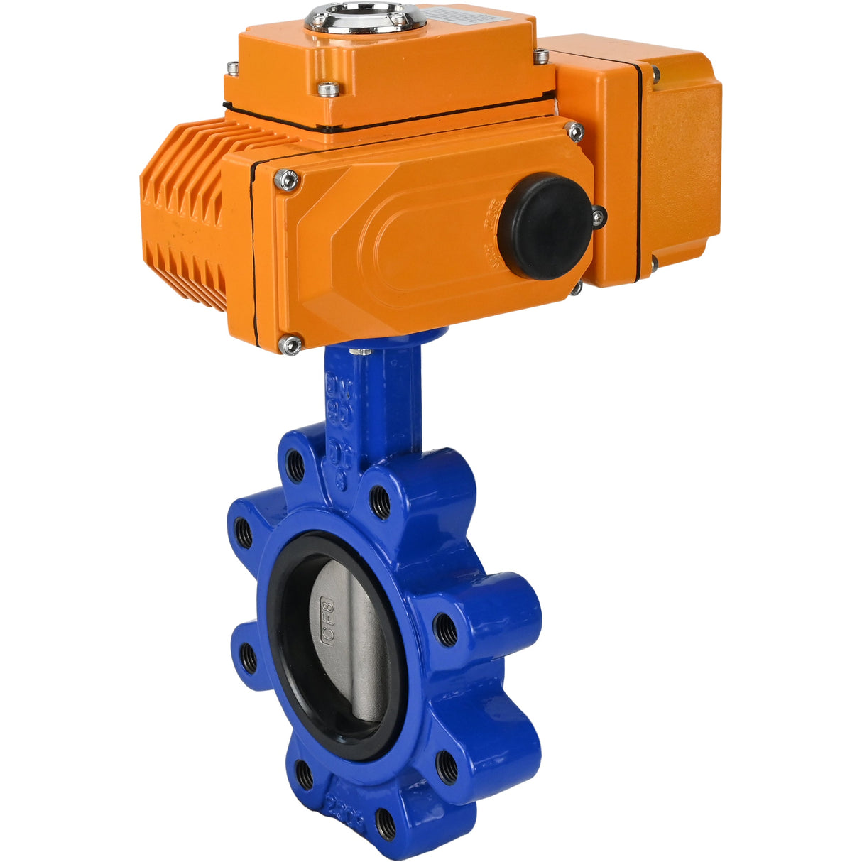 Water Butterfly Valve Elephant WBV1631N-2W-Fb-H, body material - cast iron QT450, disk material - Stainless steel AISI 304, seal - NBR, electric actuator QT-N-EM-B1-220VAC-U1 220V