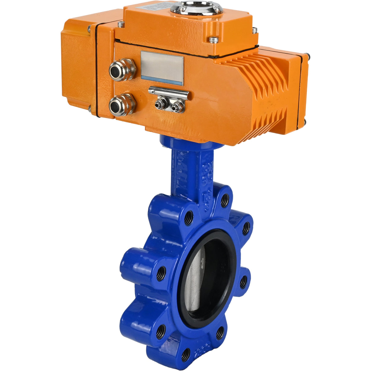 Water Butterfly Valve Elephant WBV1631N-2W-Fb-H, body material - cast iron QT450, disk material - Stainless steel AISI 304, seal - NBR, electric actuator QT-N-EM-B1-220VAC-U1 220V