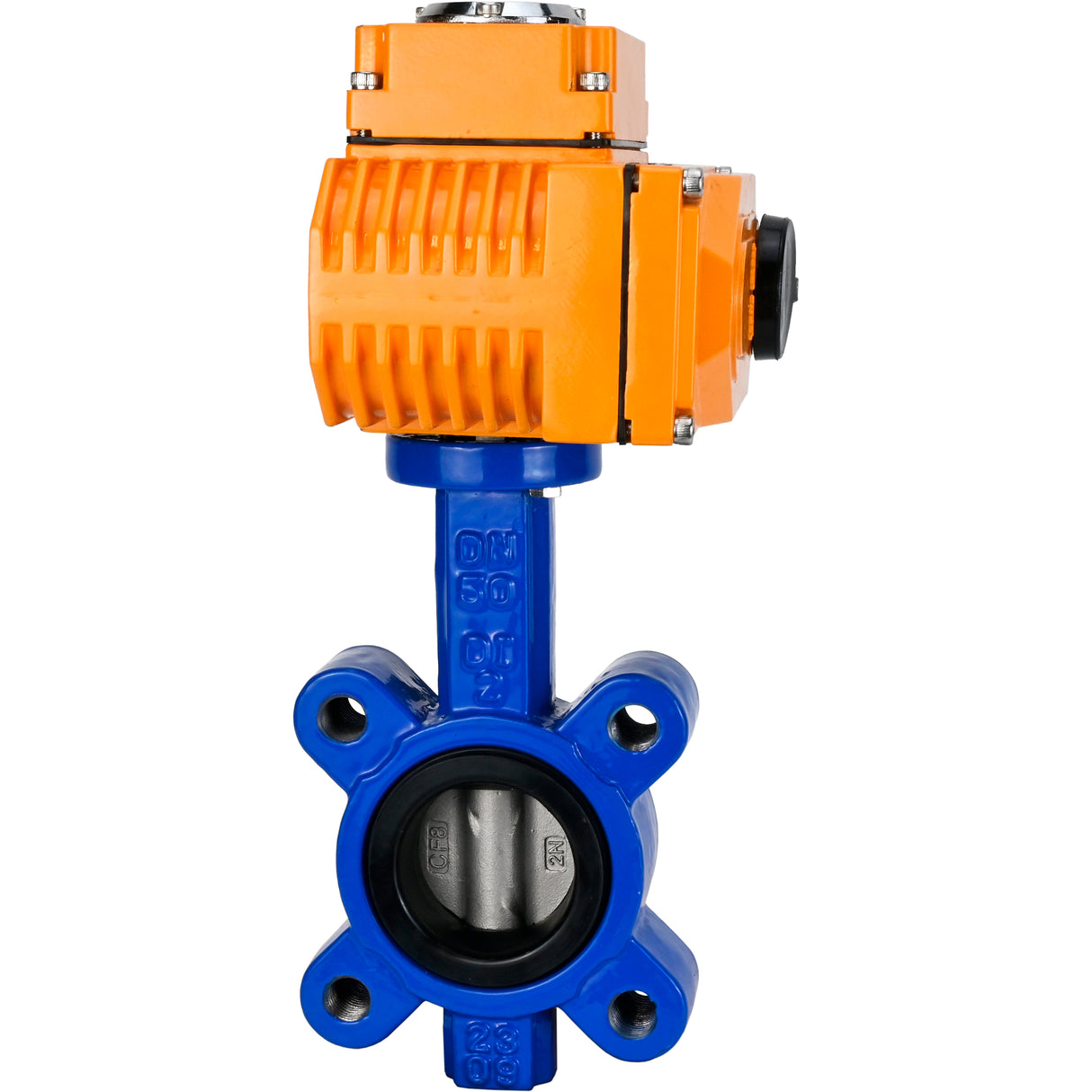 Water Butterfly Valve Elephant WBV1631N-2W-Fb-H, body material - cast iron QT450, disk material - Stainless steel AISI 304, seal - NBR, electric actuator QT-N-EM-O1-220VAC-U1 220V