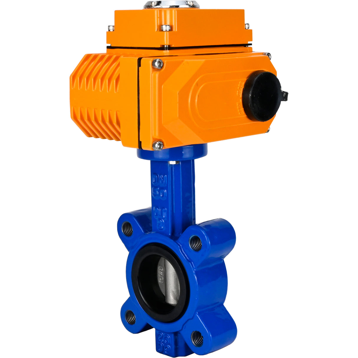 Water Butterfly Valve Elephant WBV1631N-2W-Fb-H, body material - cast iron QT450, disk material - Stainless steel AISI 304, seal - NBR, electric actuator QT-N-EM-O1-220VAC-U1 220V